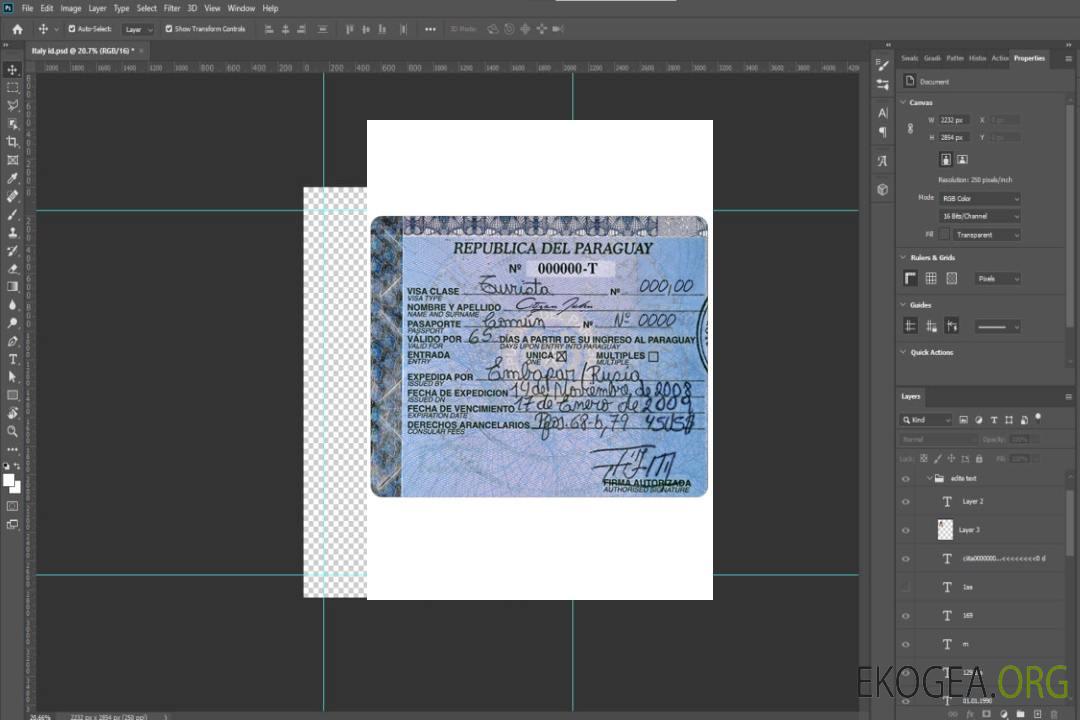 Visa PARAGUAY template